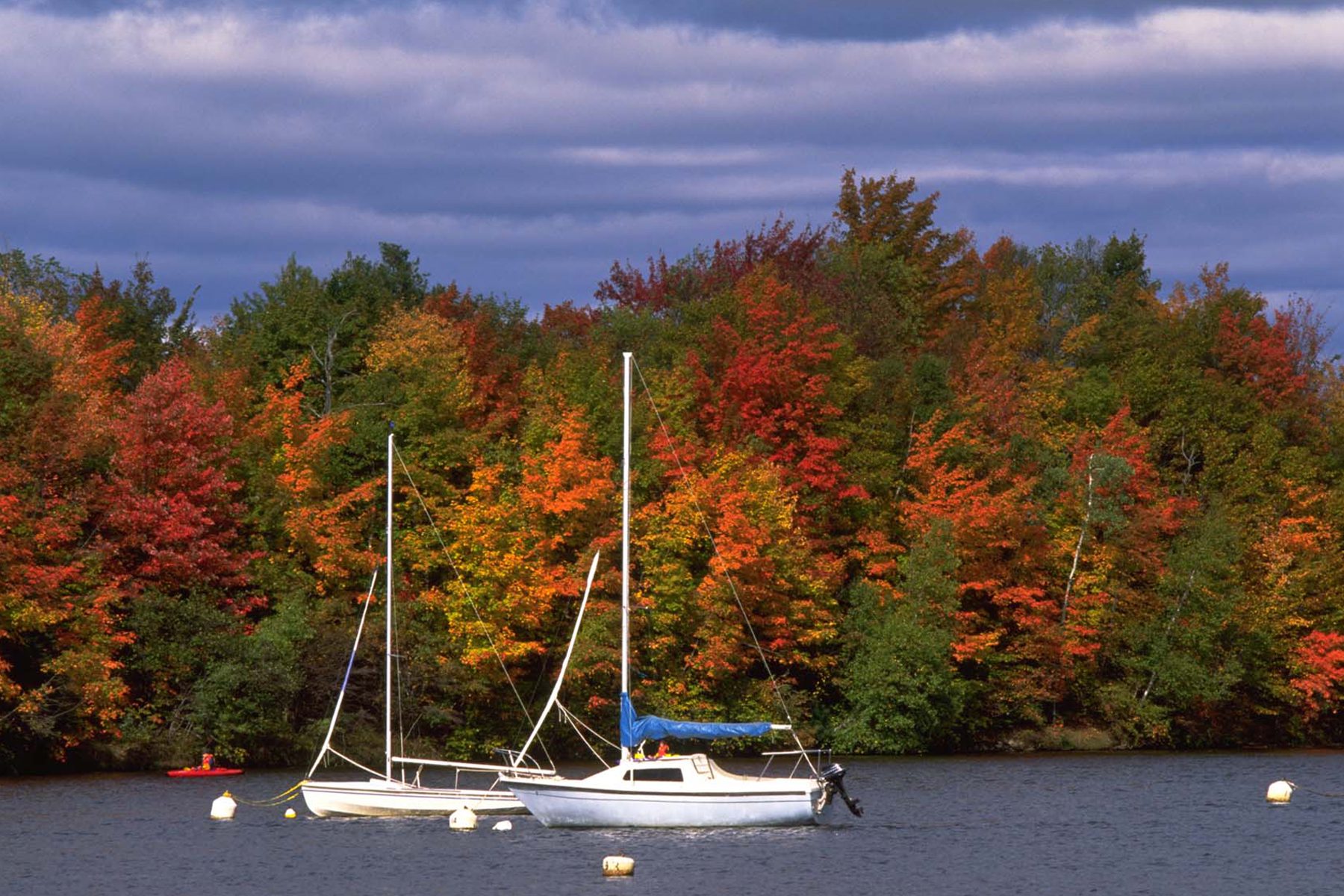 Colorful trees on a shore with two boats in water.